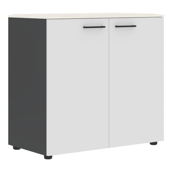 Шкаф с глухими дверьми и топом JLC 85.1 856х452х814 JAY в Салехарде 